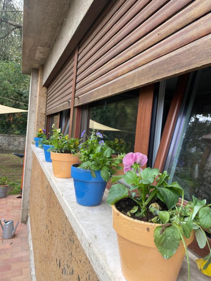 Il Giardinetto Di Elelu' Private Garage Apartment Orvieto Exterior foto